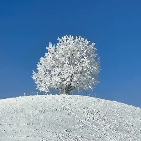 Appartement Am Kohlenberg *